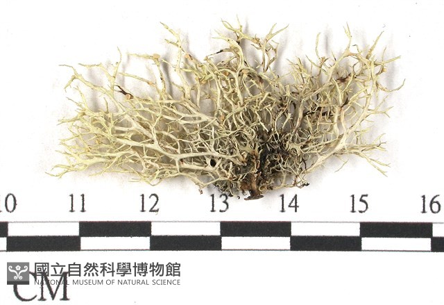 登錄號:L00002522藏品圖，第3張