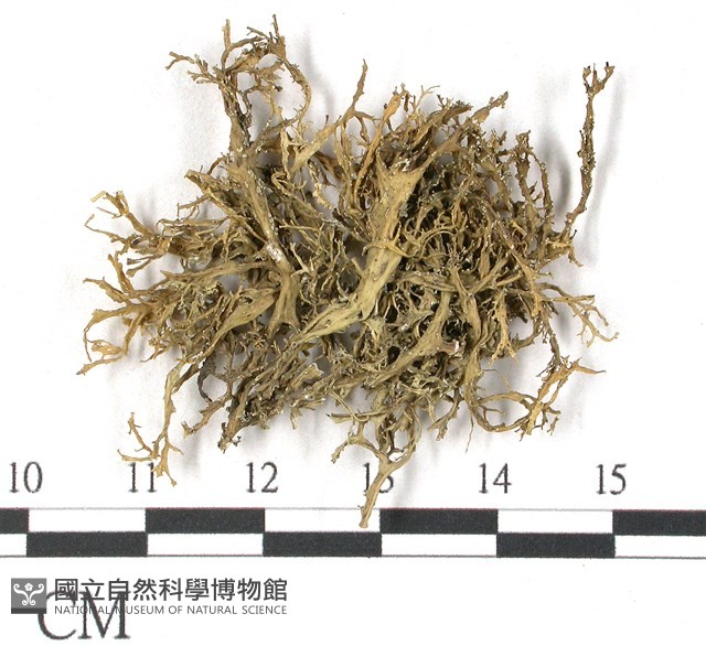 登錄號:L00001572藏品圖，第3張