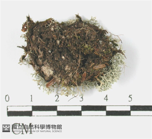 登錄號:L00002568藏品圖，第3張