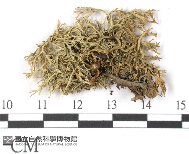 登錄號:L00002418藏品圖，第3張