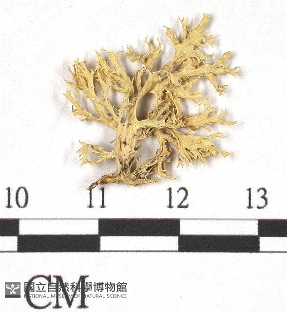 登錄號:L00001078藏品圖，第3張