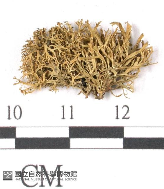 登錄號:L00000698藏品圖，第3張