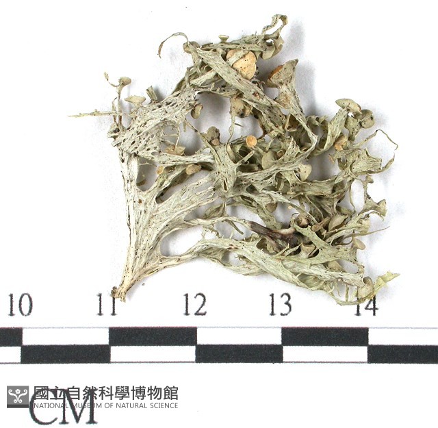 登錄號:L00002569藏品圖，第3張