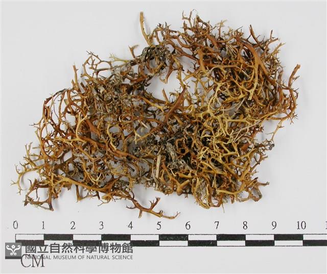 登錄號:L00000469藏品圖，第3張