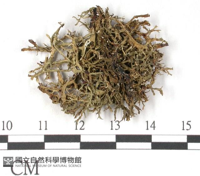 登錄號:L00001479藏品圖，第3張