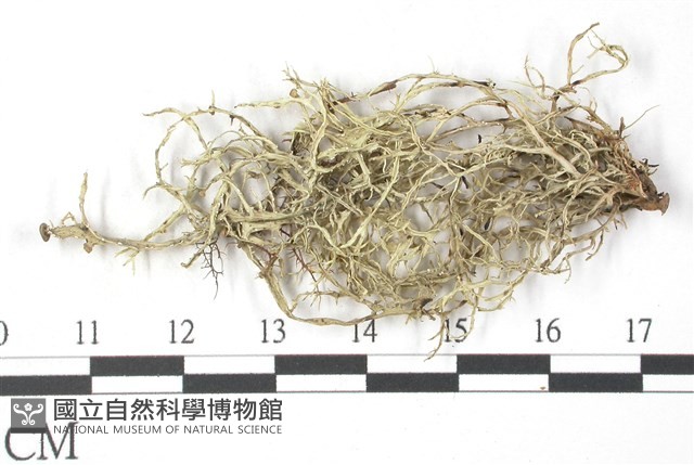 登錄號:L00002566藏品圖，第3張