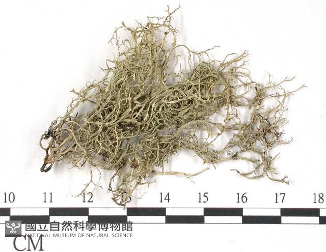 登錄號:L00002526藏品圖，第3張