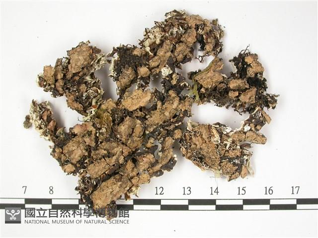 登錄號:L00002514藏品圖，第3張