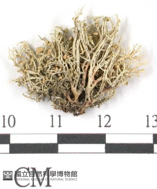 登錄號:L00001074藏品圖，第3張