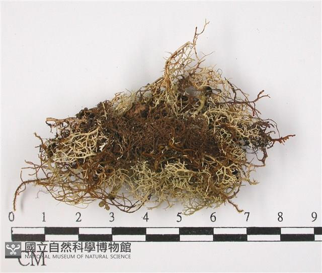 登錄號:L00001587藏品圖，第3張