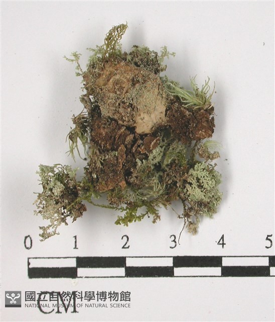 登錄號:L00002787藏品圖，第3張