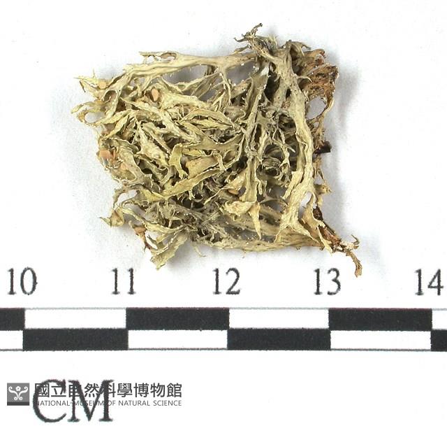 登錄號:L00001077藏品圖，第3張