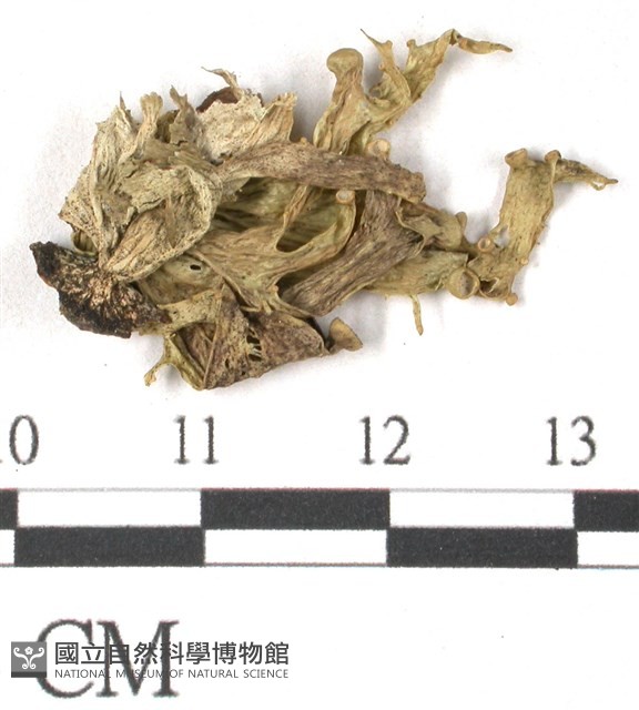 登錄號:L00002415藏品圖，第3張
