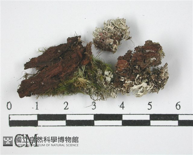 登錄號:L00002461藏品圖，第3張