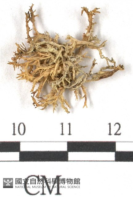 登錄號:L00002651藏品圖，第3張