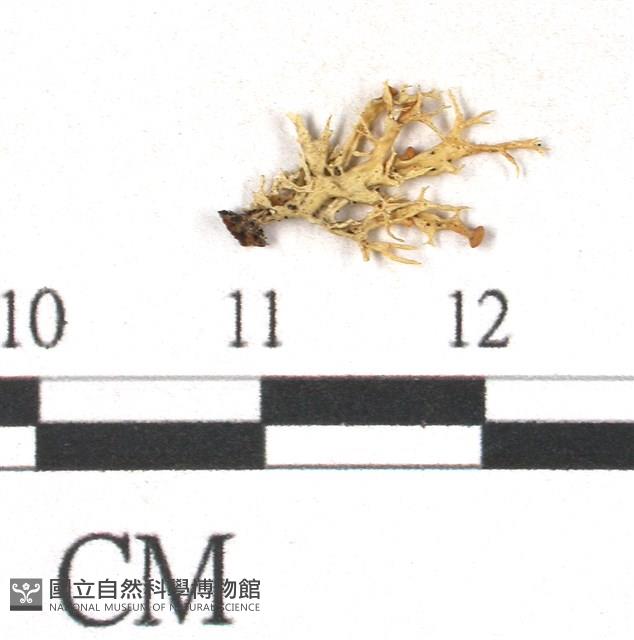 登錄號:L00000391藏品圖，第3張