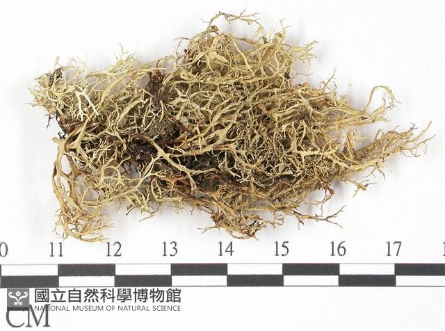 登錄號:L00001722藏品圖，第3張