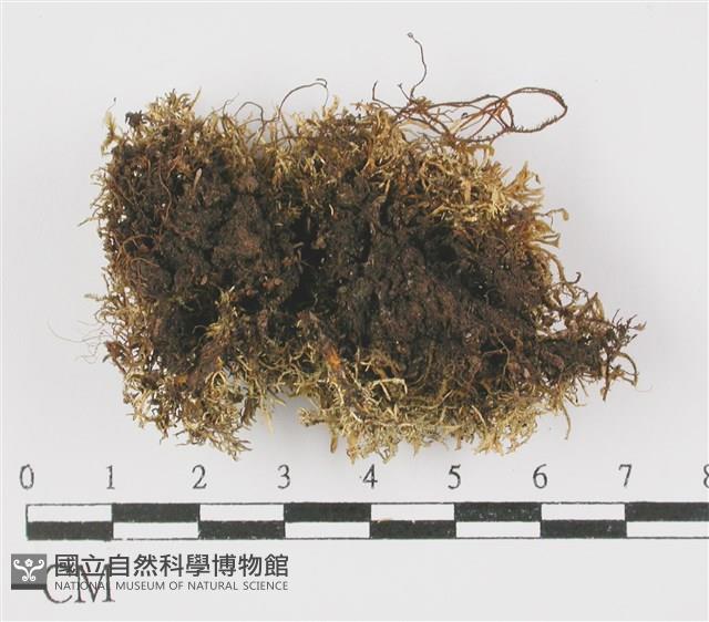 登錄號:L00000629藏品圖，第3張