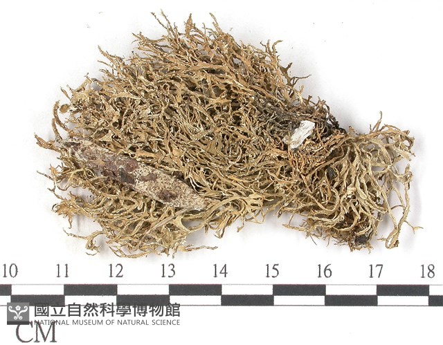 登錄號:L00002627藏品圖，第3張