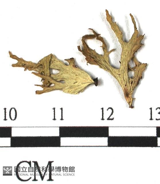 登錄號:L00000757藏品圖，第3張