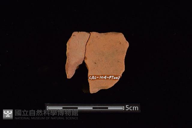 陶片藏品圖，第2張