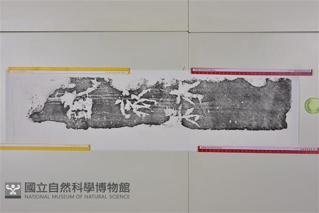 武梁祠畫像石拓片66藏品圖，第2張