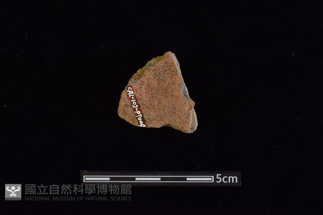 陶片藏品圖，第2張