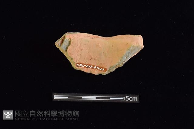 陶罐藏品圖，第2張