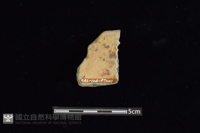 陶罐藏品圖，第2張