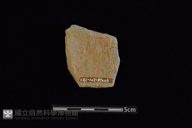 陶片藏品圖，第2張