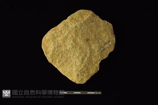 Accession Number:CAL109-ST003 Collection Image, Figure 2, Total 2 Figures