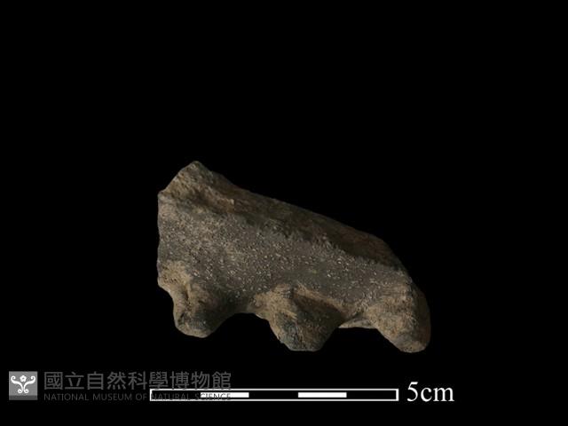 陶罐藏品圖，第5張