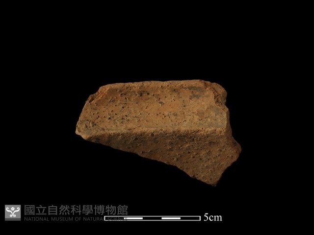 陶罐藏品圖，第5張