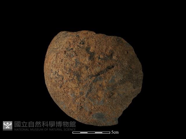 陶蓋鈕藏品圖，第1張