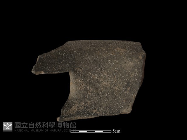 陶罐藏品圖，第5張