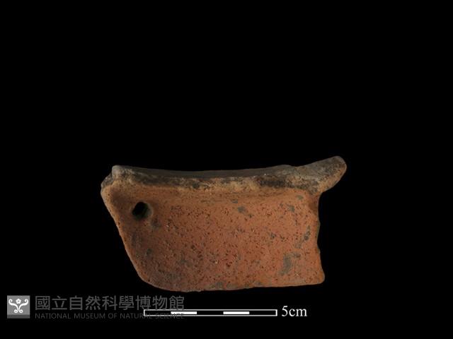 陶罐藏品圖，第5張