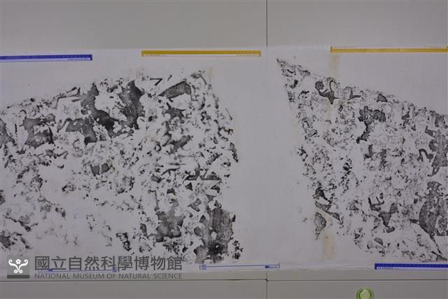 武梁祠畫像石拓片61藏品圖，第5張