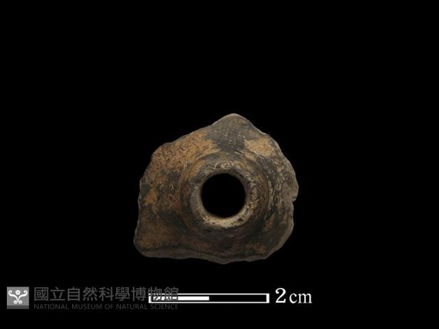 紡輪藏品圖，第4張