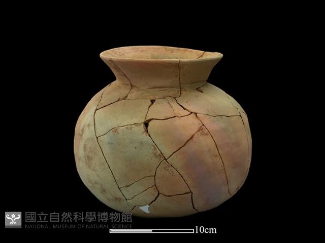 陶罐藏品圖，第3張