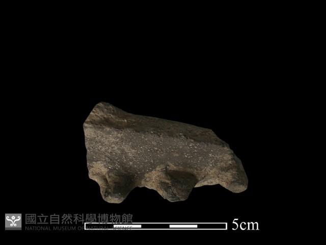 陶罐藏品圖，第3張