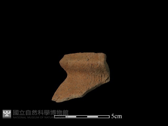 陶罐藏品圖，第3張