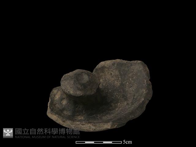 陶蓋鈕藏品圖，第4張