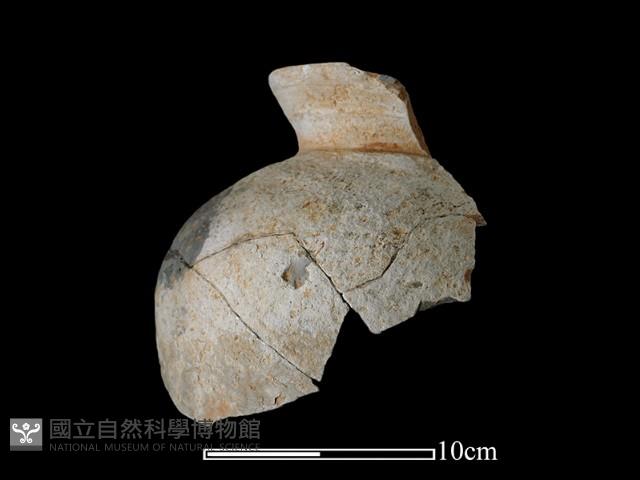 陶罐藏品圖，第1張