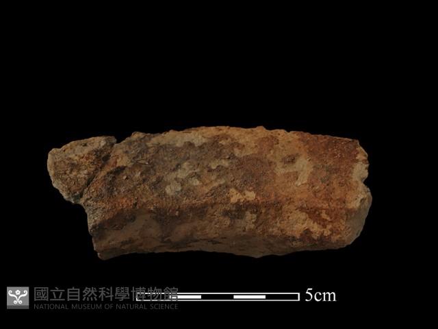 陶罐藏品圖，第1張