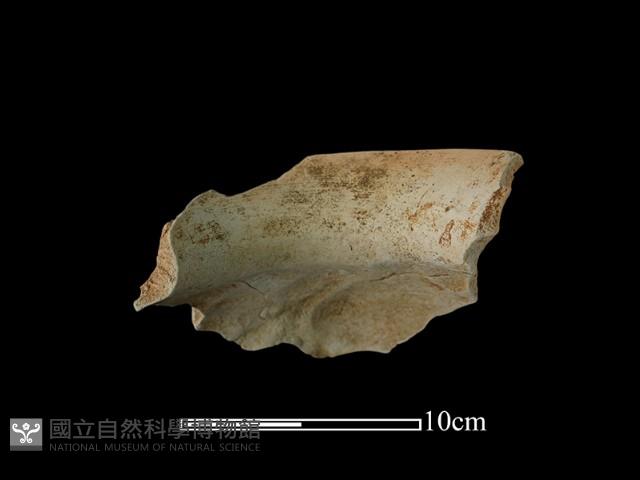 陶罐藏品圖，第2張