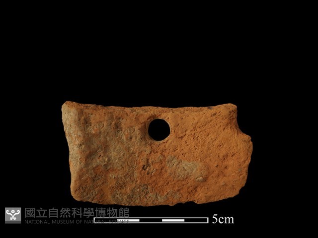 陶片藏品圖，第3張