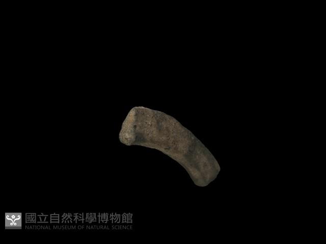 陶環藏品圖，第3張