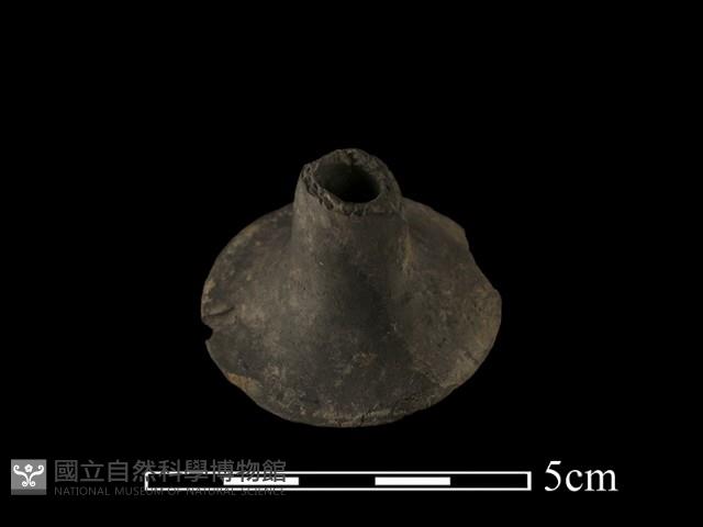 紡輪藏品圖，第3張