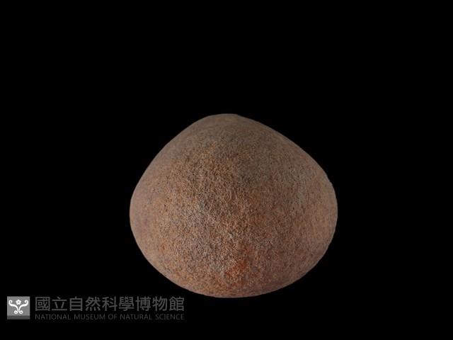 陶墜藏品圖，第3張