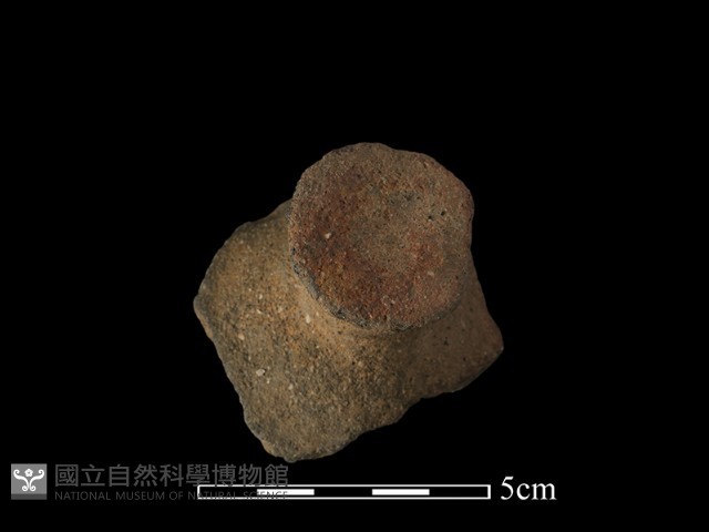 陶蓋鈕藏品圖，第3張